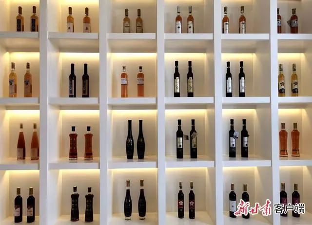 河西走廊第十届有机葡萄美酒节 图片来源：新甘肃客户端