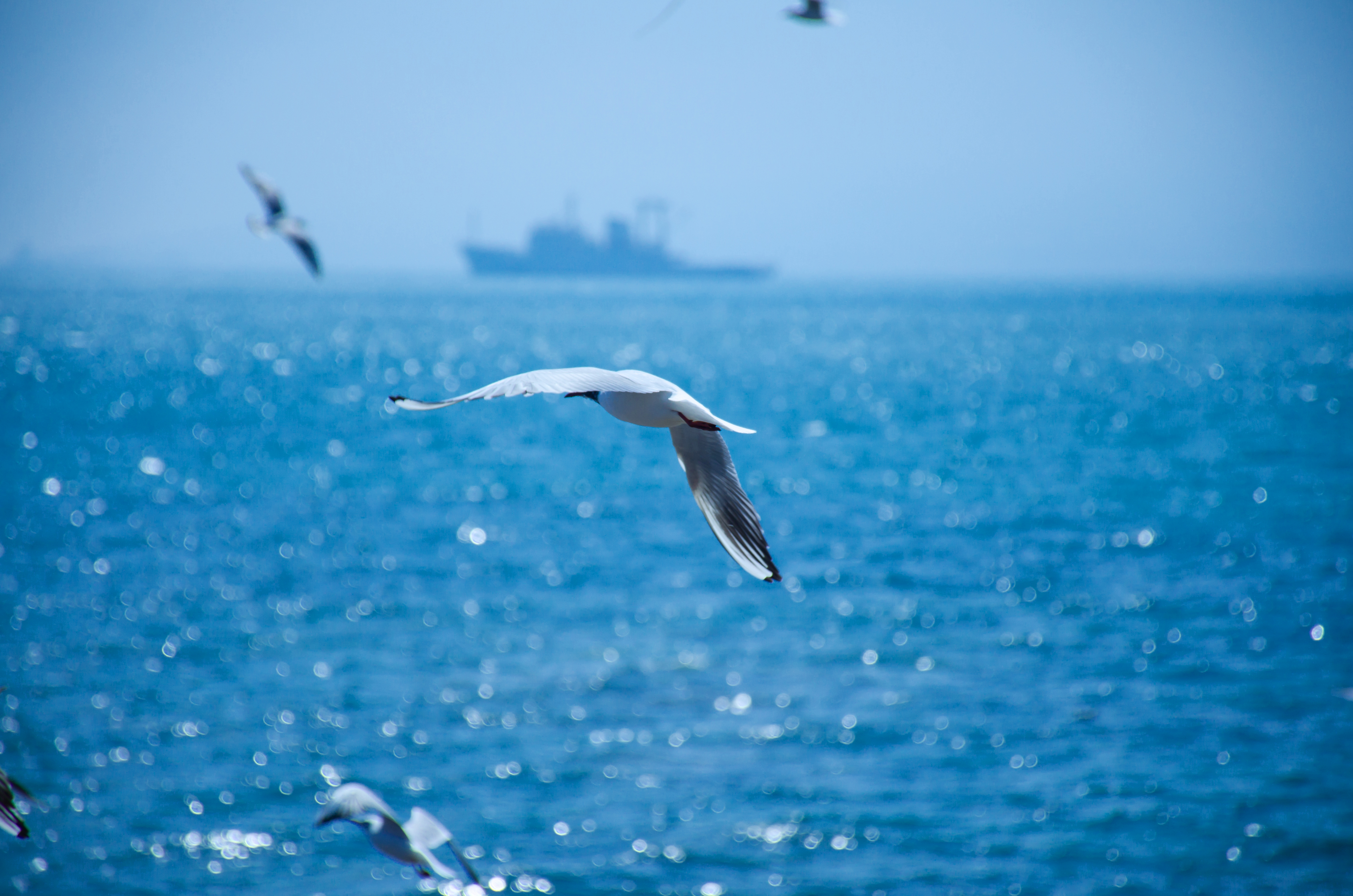 2020年青岛接收安置军转干部500多人 再创历史新高