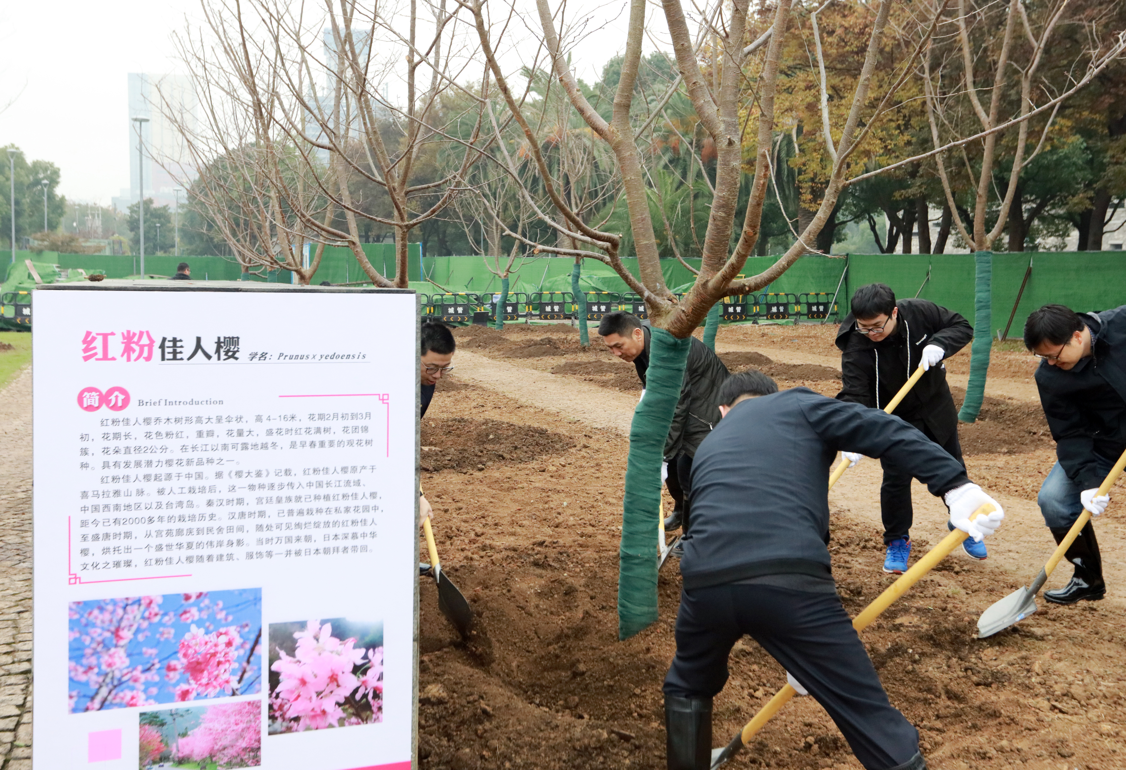 增色添彩植树活动现场