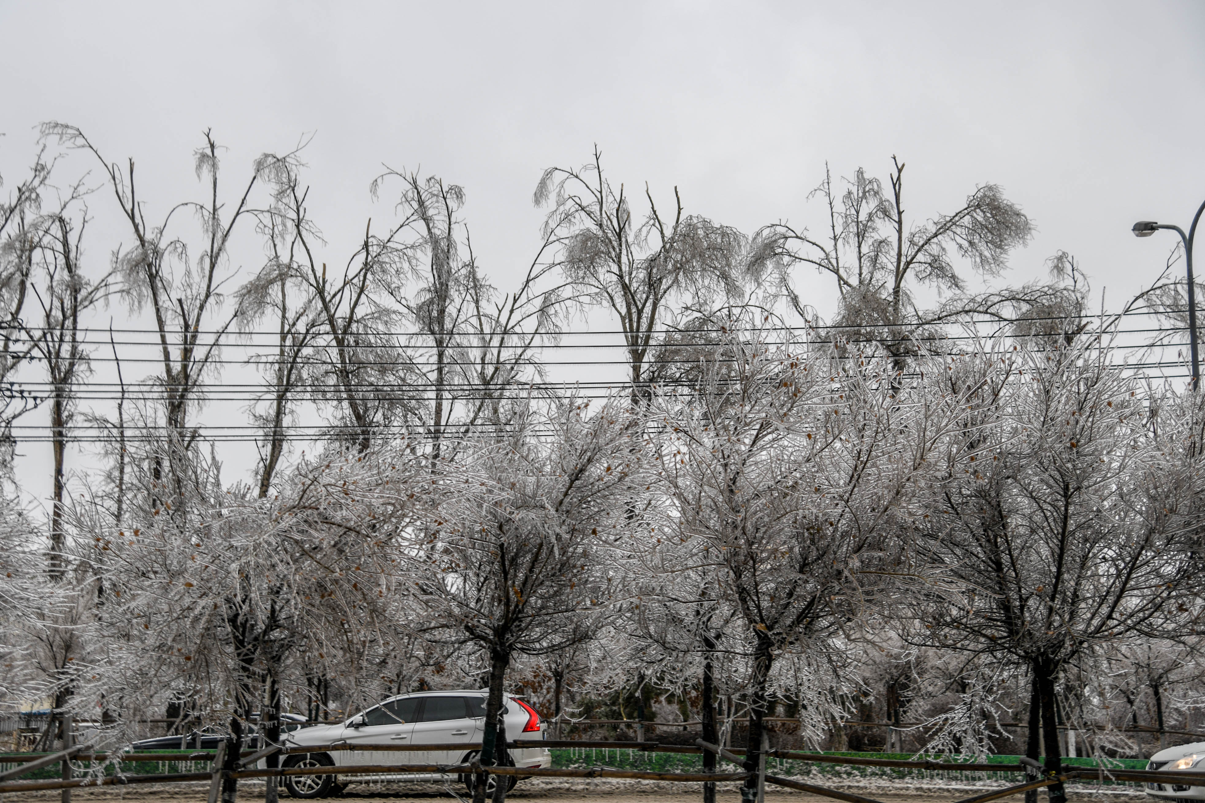 冻雨转大雪图片