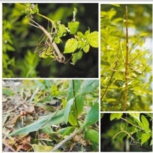 找找看，我在哪？ 资料图