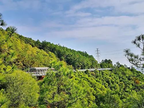 厦门 | 这一次，我们更新了关于它的4个旅行关键词