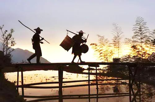 探索“贤治”模式，创新“农耕文化+乡村旅游”发展路径丨委员读书