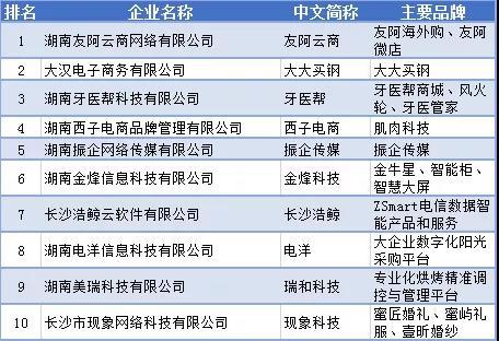 ▲ 图为2020年湖南省互联网最具成长型企业10强名单