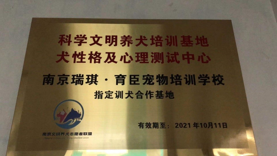 育臣宠物训练训犬师证书正规化将来必要趋势