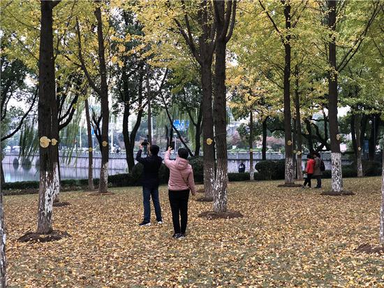 民众在院士林内拍照。林波 摄