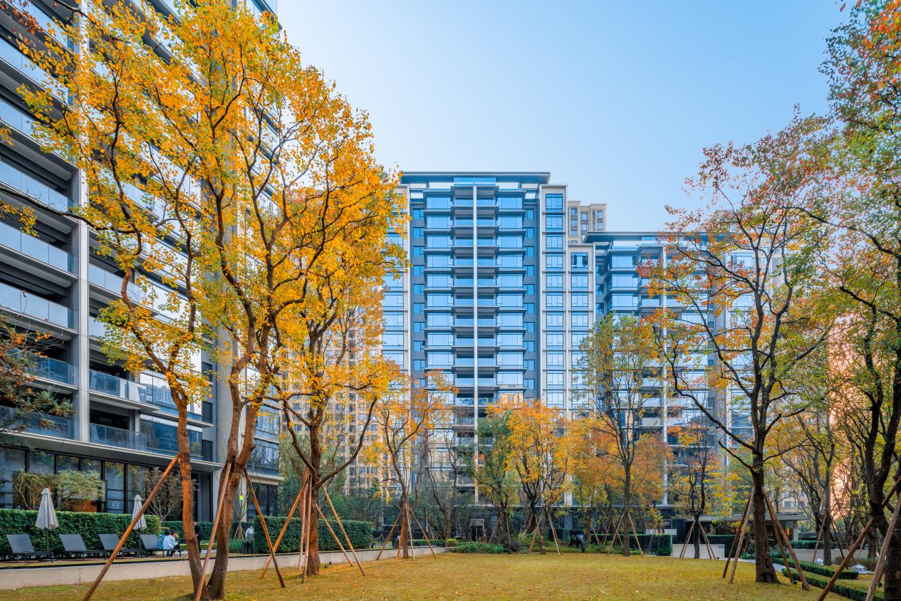 月销再创新高龙湖尘林间11月销售额突破3亿红盘实力刷新认知