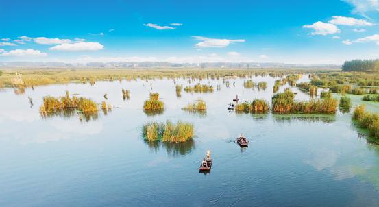 (图为:泗县石龙湖国家湿地公园碧波荡漾)