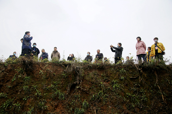 2020年11月26日,专家、学者们在湖北省十堰市郧阳区青曲镇弥陀寺村学堂梁子参观“郧县人”遗址