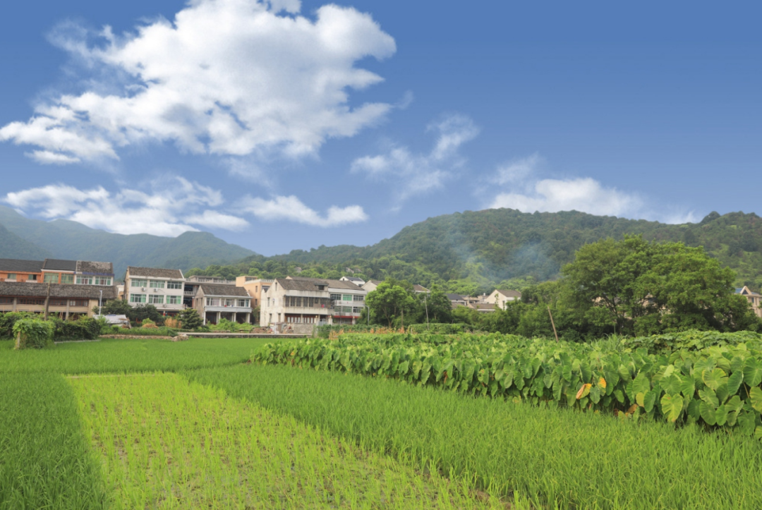 温州又新增15个3a级景区村庄!凤凰网浙江_凤凰网