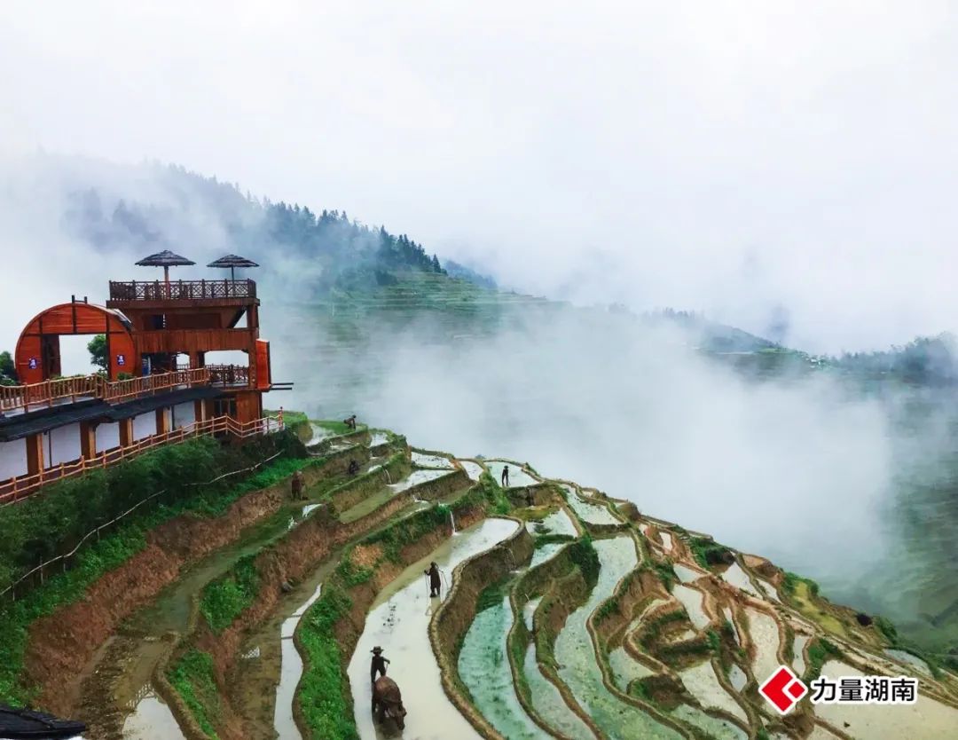 探索“贤治”模式，创新“农耕文化+乡村旅游”发展路径丨委员读书