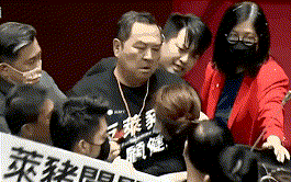 台湾政客叫嚣“1打35” 结果被1秒锁喉