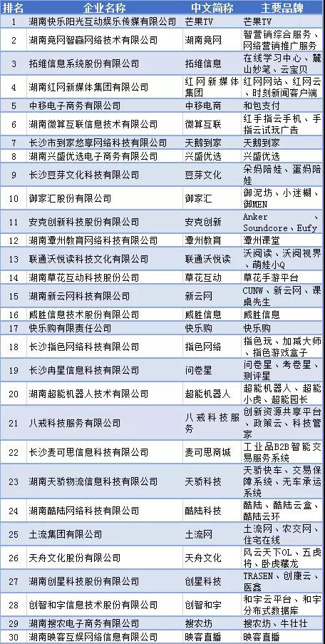 ▲ 图为2020年湖南省互联网企业综合实力30强名单