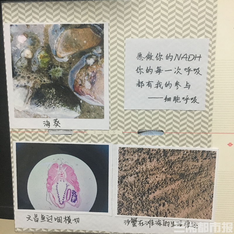 给生物切片写 情书 6名理科女生的别样浪漫 凤凰网