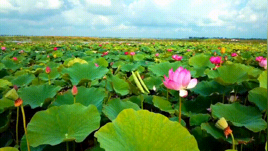 图/公众号“人民旅游”