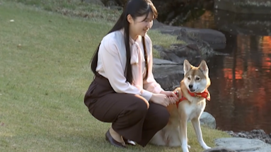 日本天皇独生女迎19岁生日 笑容灿烂衣着干练 凤凰网