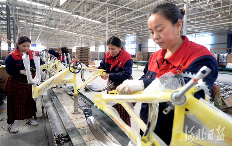 2020年11月20日，位于河北省邱县的河北天飞自行车制造有限公司的员工在组装自行车。河北日报记者杜柏桦摄影报道
