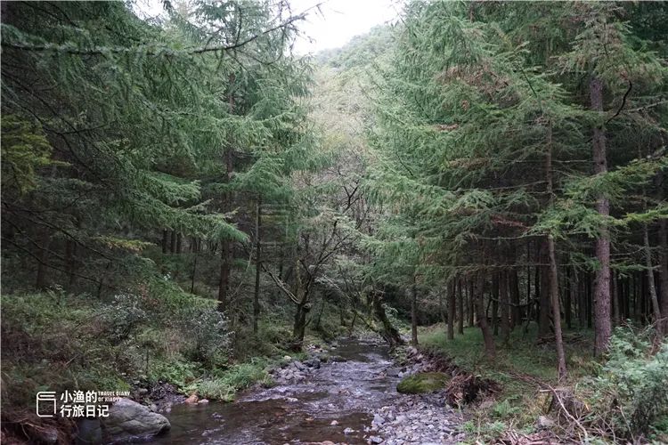 秦岭无人山沟，像极了陶渊明笔下桃花源！密林深处竟藏着如此秘境