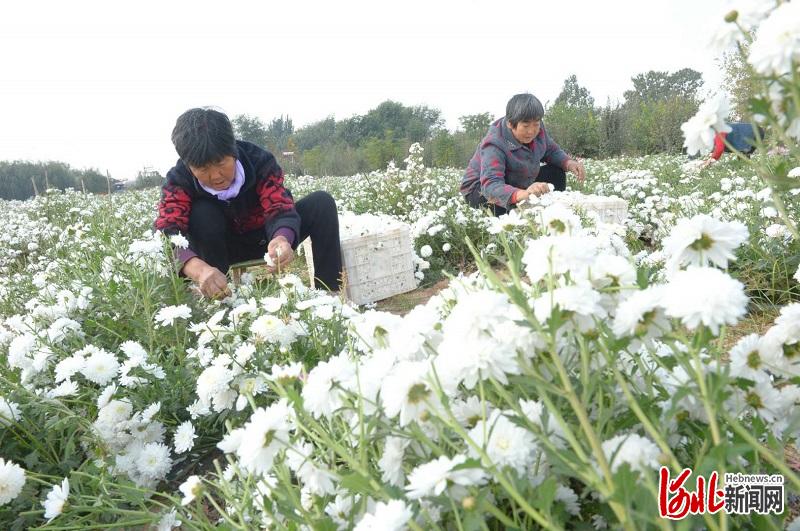 南赵村人口_淝南镇各村人口(2)