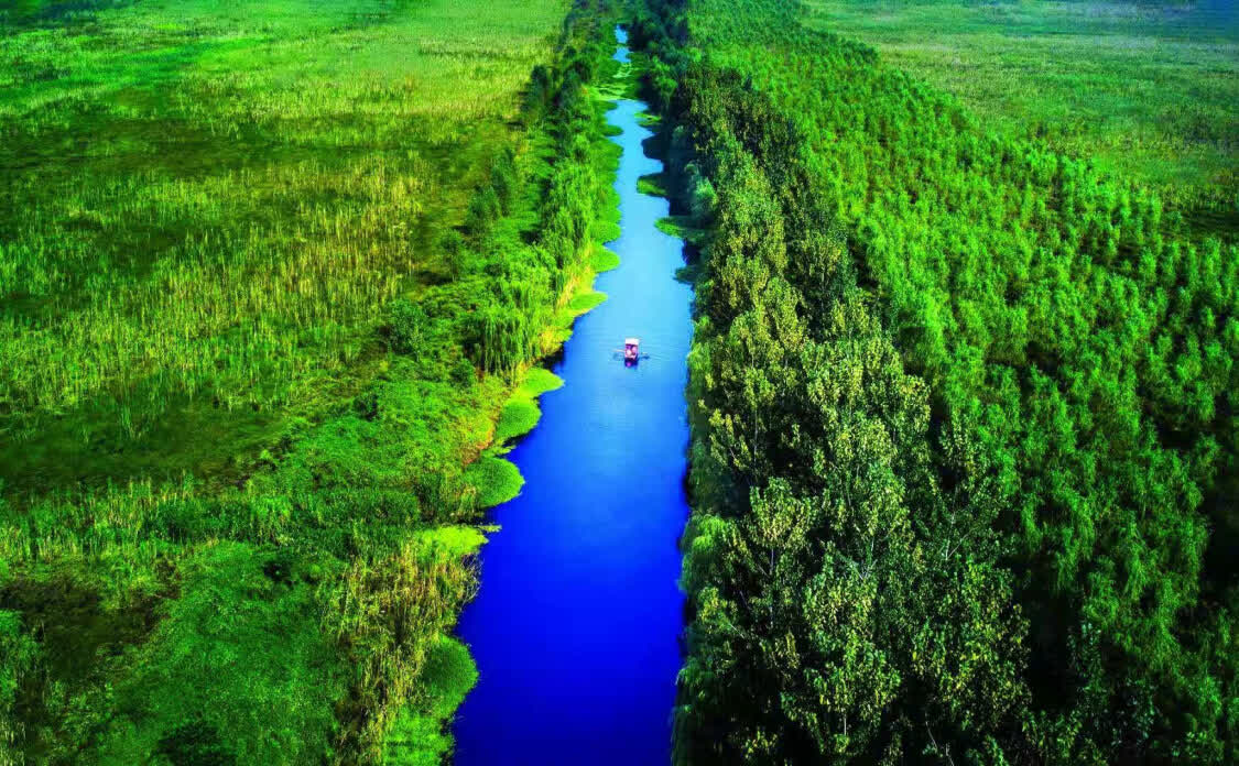 蚌埠三岔河湿地图片