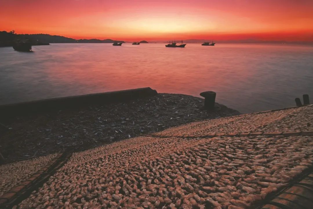 台州把秋冬“晒”成了风景！