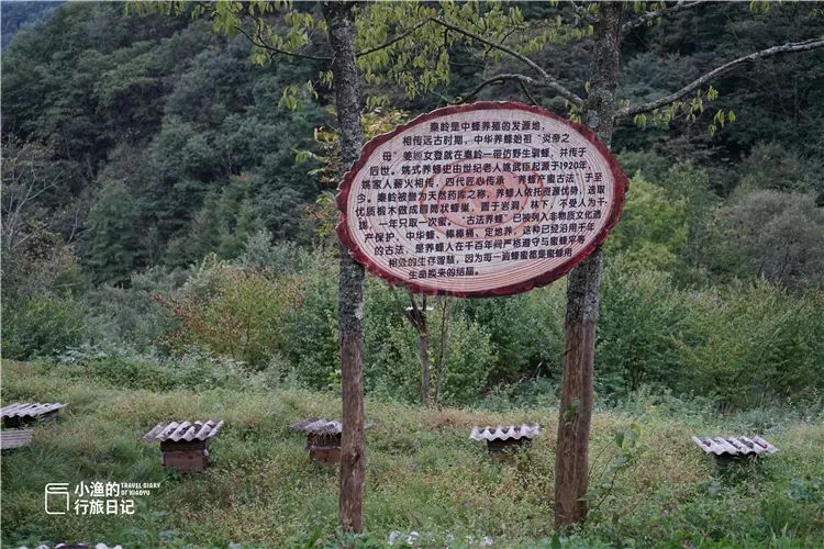 秦岭无人山沟，像极了陶渊明笔下桃花源！密林深处竟藏着如此秘境