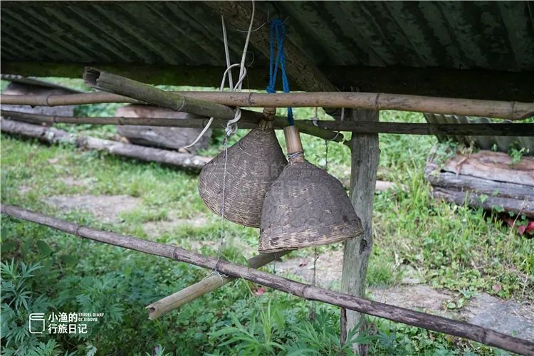 秦岭无人山沟，像极了陶渊明笔下桃花源！密林深处竟藏着如此秘境
