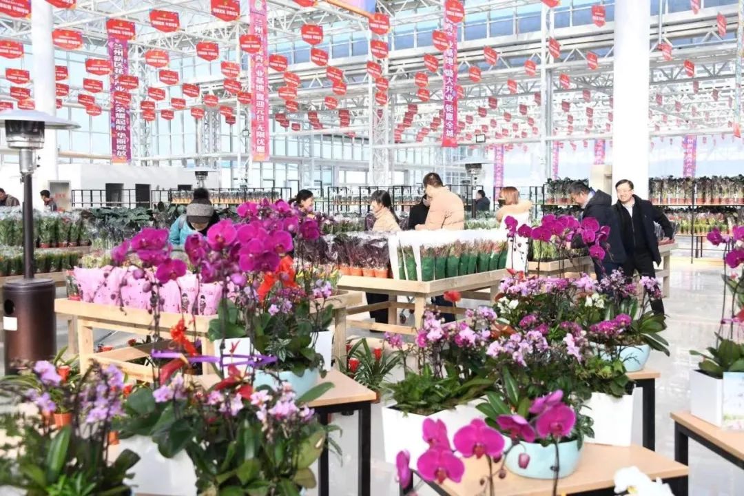 Get这份兰州新区吃喝玩乐指南 解锁冬天度假新姿势