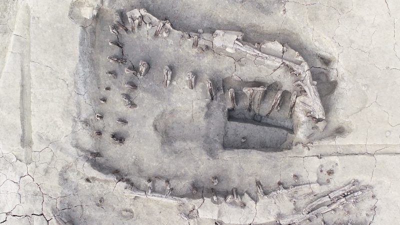 08图八  4号木构设施（上为北）.jpg