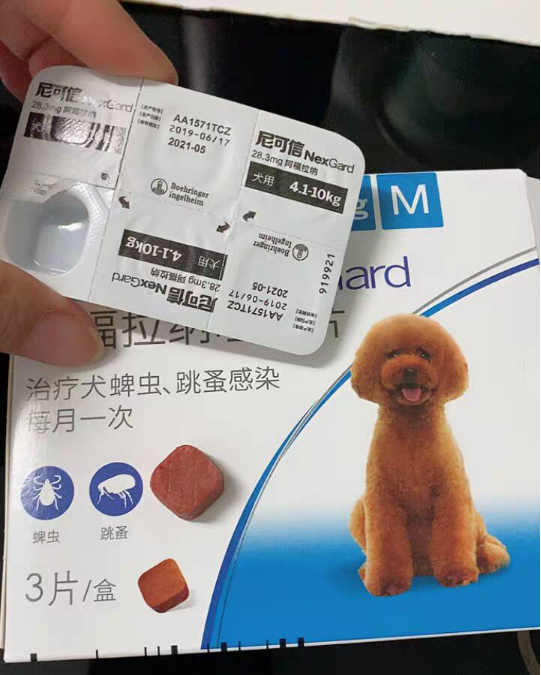 铲屎官必看篇尼可信好吗