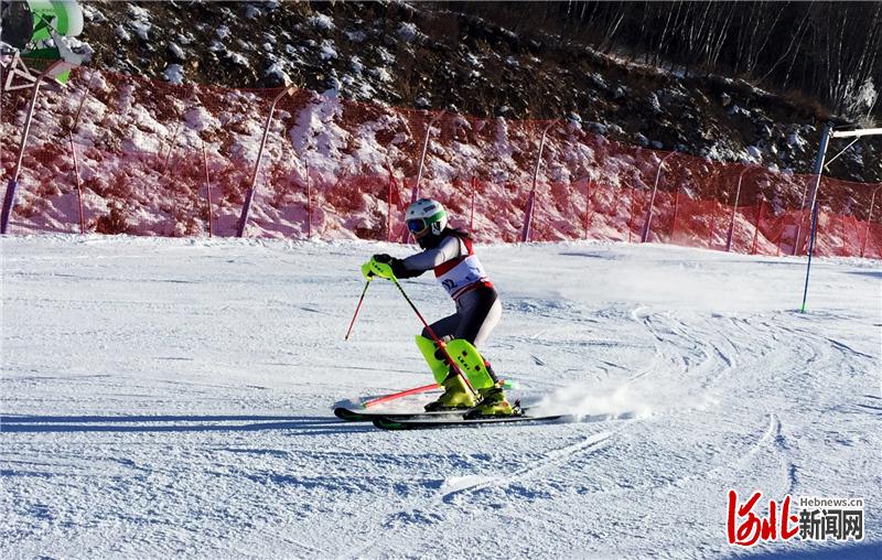 图为比赛现场。 组委会供图