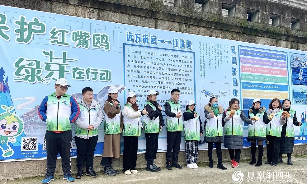 泸州：保护红嘴鸥，志愿服务队你要不要加入？