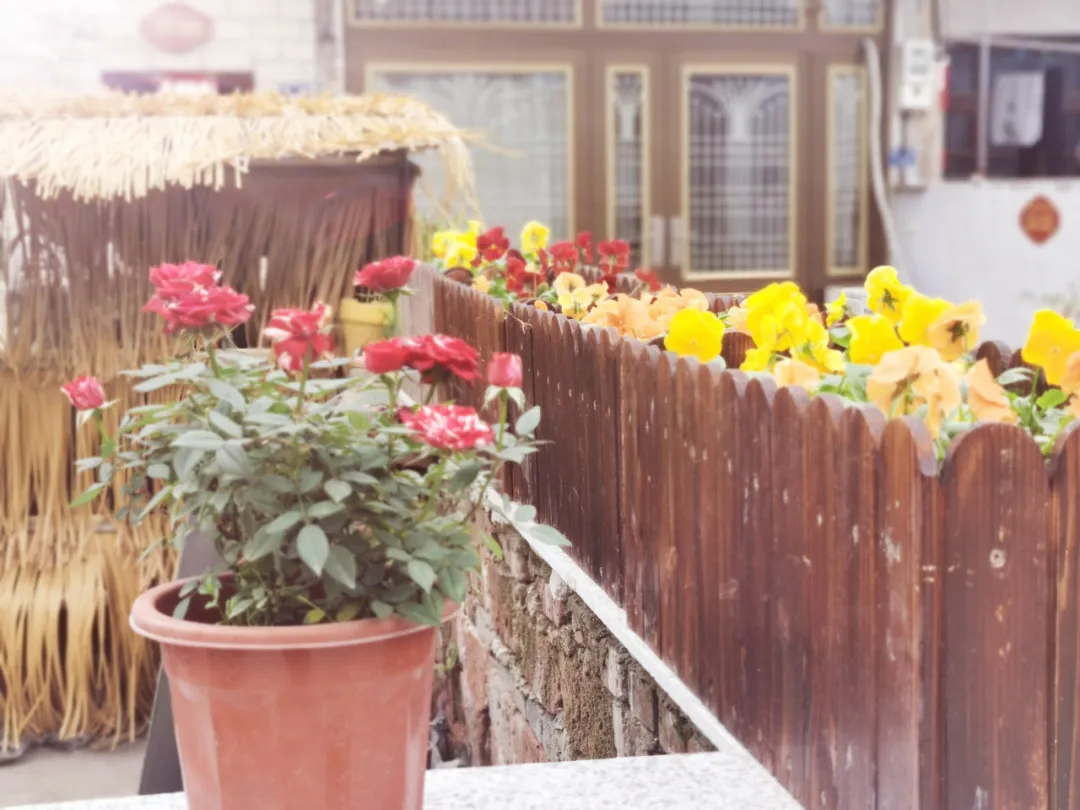 留住乡愁！感受高桥庭院的独特韵味