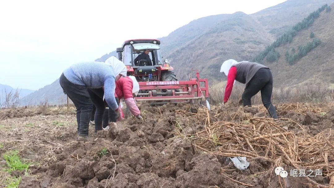 美丽新农村款款走来，岷县农户幸福感爆棚！