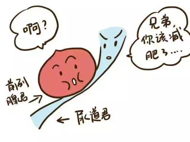 当年迎风尿三丈如今顺风尿湿鞋