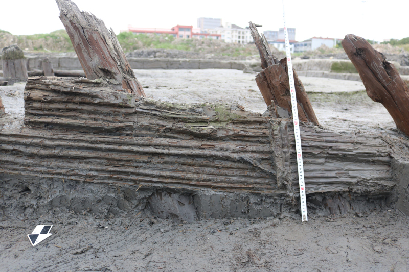 05图五  2号护岸内侧竹竿.jpg