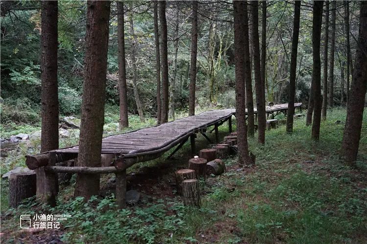 秦岭无人山沟，像极了陶渊明笔下桃花源！密林深处竟藏着如此秘境