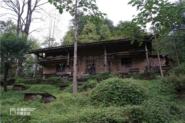 秦岭无人山沟，像极了陶渊明笔下桃花源！密林深处竟藏着如此秘境