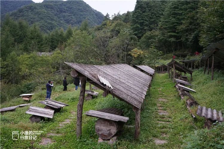 秦岭无人山沟，像极了陶渊明笔下桃花源！密林深处竟藏着如此秘境