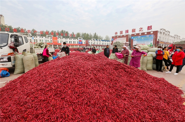柘城辣椒大市场被授予贫困地区农产品产销对接优秀单位