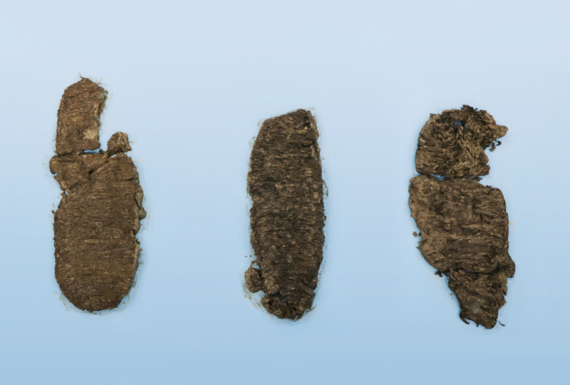 09图九  草鞋.jpg