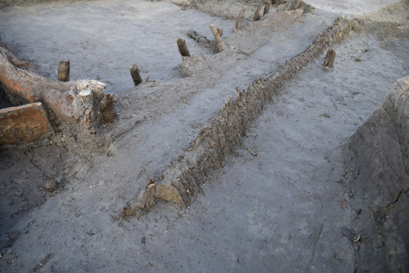 07图七  1号木构设施南部竹篱.jpg