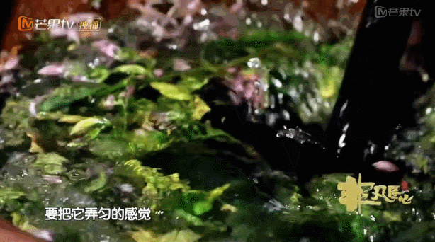 豆瓣高分综艺，国立老师带你探秘云南，寻找最纯净的“蓝与白”！