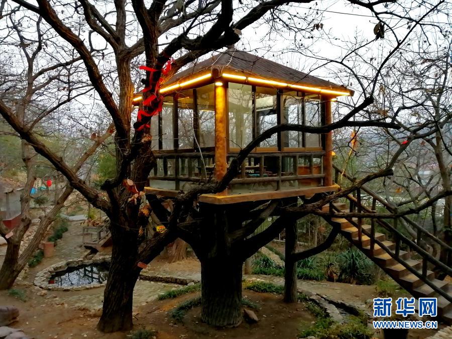 山东蒙阴县桃墟镇安康村的树上木屋(12月5日手机拍摄)。新华社记者 杨文 摄