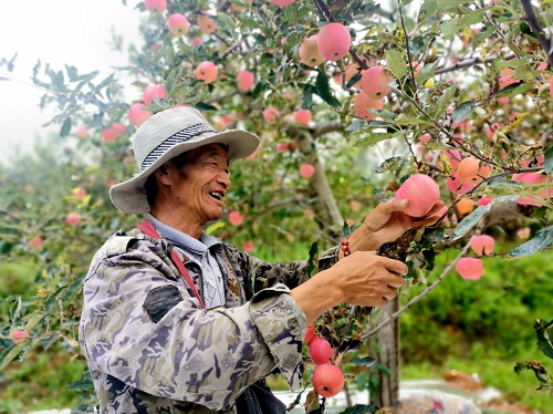 北神沟村罗贤文