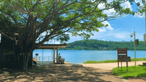 600_338gif 动态图 动图