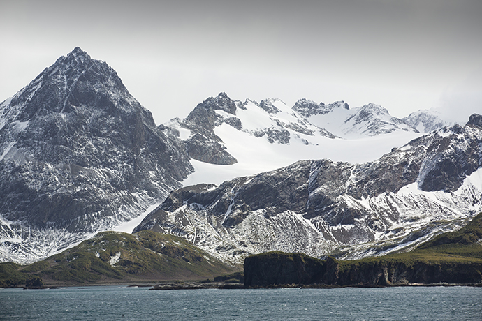 企鹅危机巨大南极冰山将撞南乔治亚岛