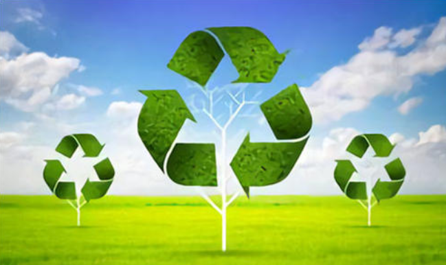 中植系大力发展绿色循环经济新能源垃圾回收业务取成效