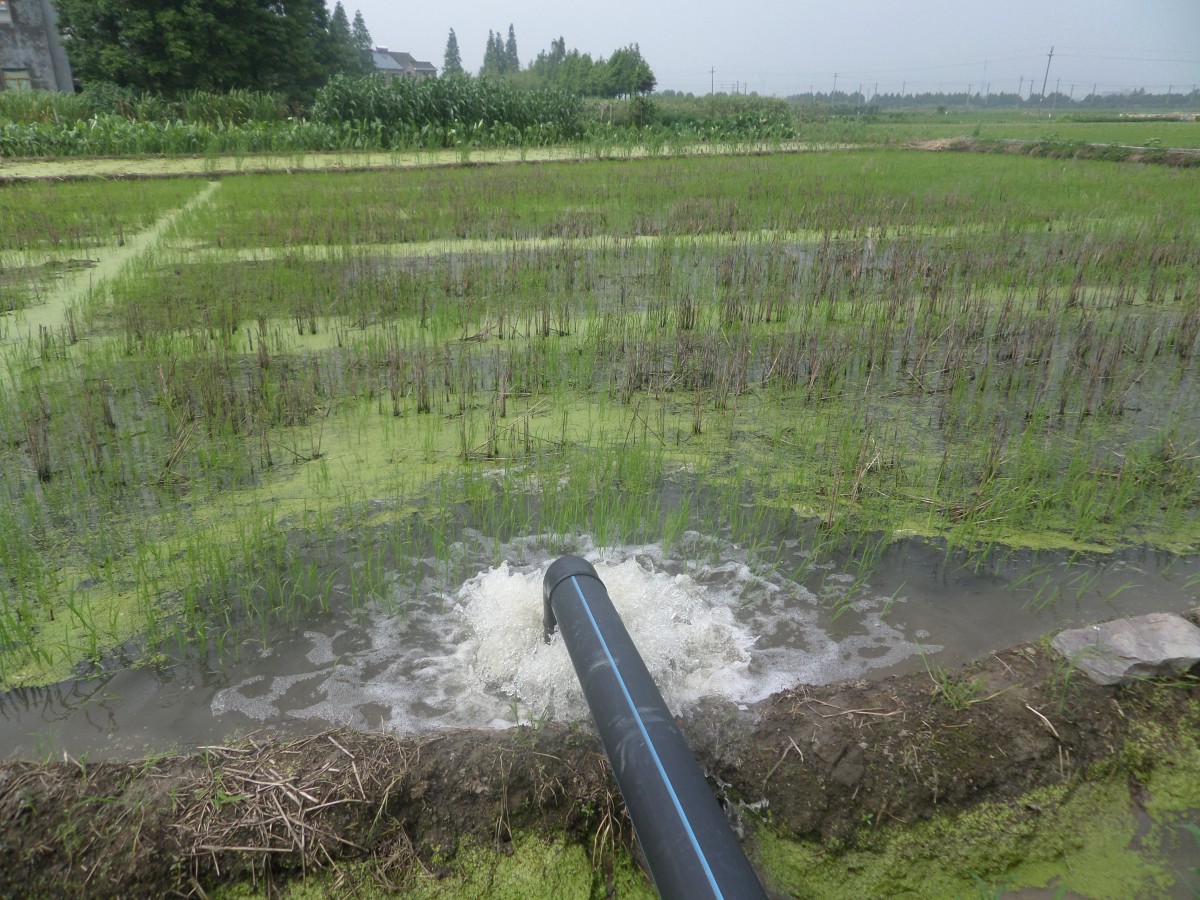 近5年寧波農田灌溉水有效利用係數提升49