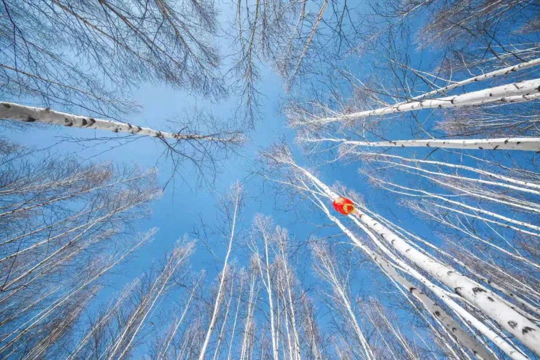 乘坐雪国列车，去漠河找北，挑战极寒！